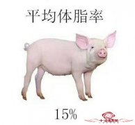 一年减90斤肉，这只差点被安乐死的金毛，堪称最励志的狗子！